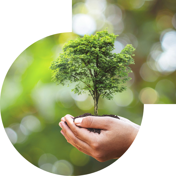 �P��������Ļ����h���c���