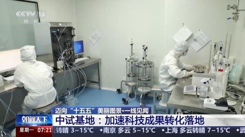 一線見聞丨順藤摸瓜 深圳科創青藤體系，如何賦能硬科技轉化？